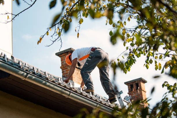 Best Metal Roofing Contractor  in Pocono Springs, PA