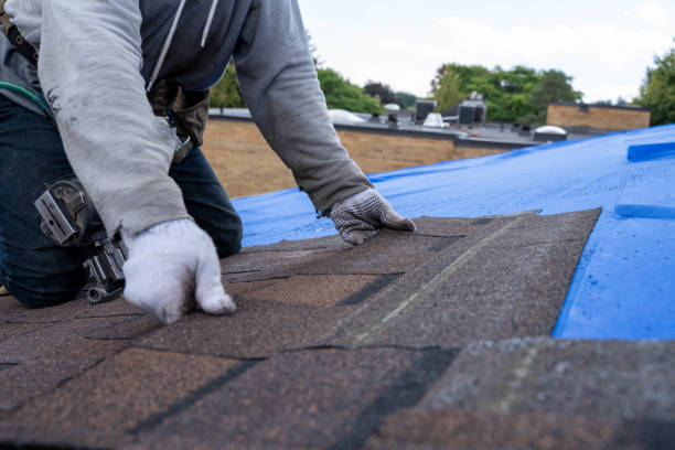 Best Local Roofing Companies  in Pocono Springs, PA