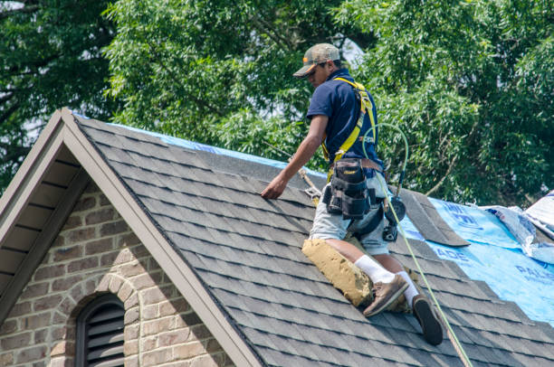Best Roof Maintenance Services  in Pocono Springs, PA
